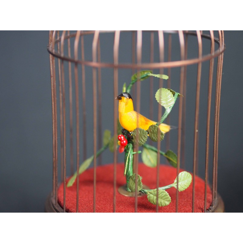 Bird Cage 106